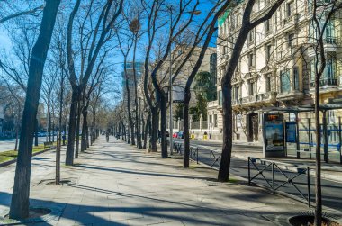 MADRID, SPAIN - JANUARY 12, 2022: Urban scene, view of Paseo de la Castellana, a major street in Madrid, Spain, cutting across the city from south to north