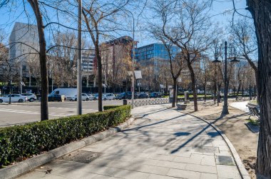 MADRID, SPAIN - JANUARY 12, 2022: Urban scene, view of Paseo de la Castellana, a major street in Madrid, Spain, cutting across the city from south to north