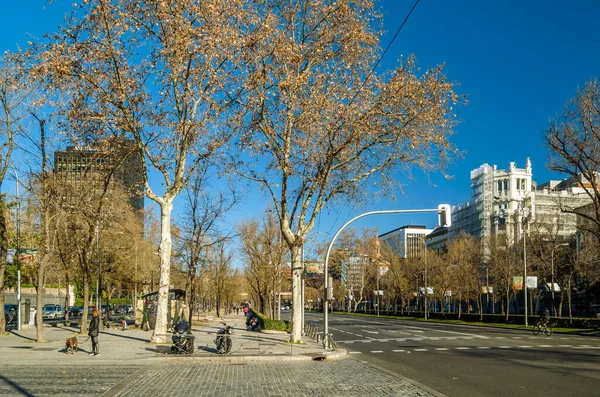 MADRID, İspanya - 12 Ocak 2022: Şehir manzarası, Madrid, İspanya 'nın büyük bir caddesi olan Paseo de la Castellana' nın güneyden kuzeye kestirme yolu