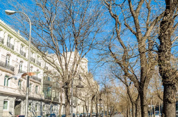 Madrid, İspanya 'da şehir manzarası, mimari detay