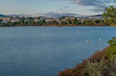 Akdeniz 'in Calpe kasabasında tuz gölü, Valensiyalı Topluluğu, İspanya