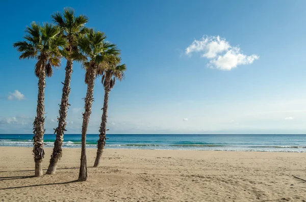 Utsikt Över Stranden Calpe Provinsen Alicante Spanien — Stockfoto