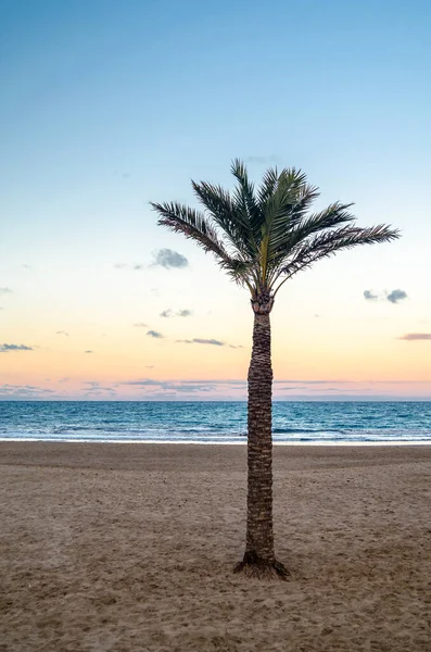 西班牙阿利坎特省Javea Xabia 的Arenal海滩景观 — 图库照片