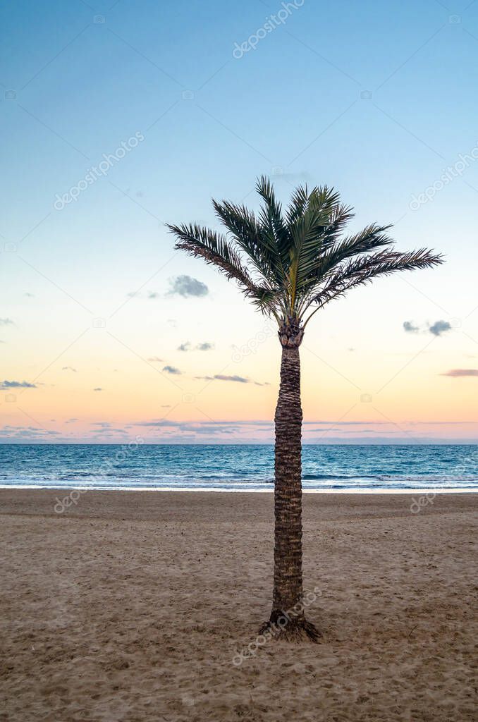View of the Arenal Beach in Javea (Xabia), Alicante province, Valencian Community, Spain