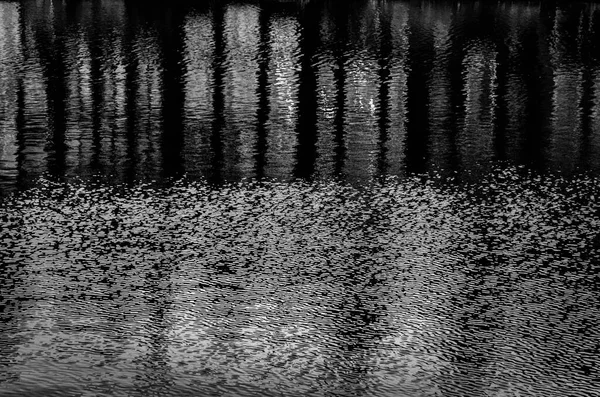 Reflection Buildings Canal Amsterdam Netherlands Black White Image — Stock Photo, Image