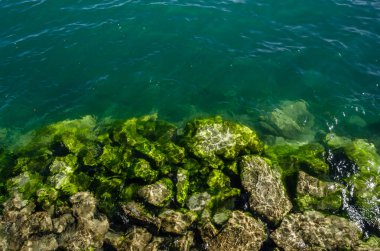 Stones on the bottom of a lake, natural background