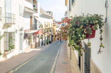 Estepona 'nın merkezinde dar sokaklar, tipik Endülüs kasabası, İspanya' nın güneyindeki Costa del Sol eyaletinde bulunan renkli saksılarla süslenmiş beyaz evler.