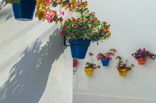 西班牙南部马拉加省埃斯特波纳老城装饰安达卢西亚典型房屋的花盆 — 图库照片