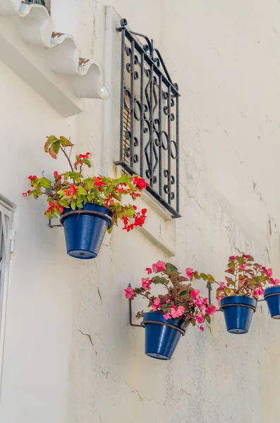 Vasos Flores Que Decoram Casas Típicas Andaluzas Cidade Velha Estepona — Fotografia de Stock