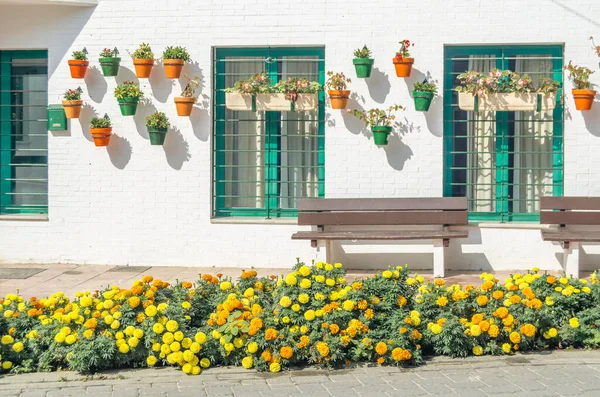 Vasos Flores Que Decoram Casas Típicas Andaluzas Cidade Velha Estepona — Fotografia de Stock