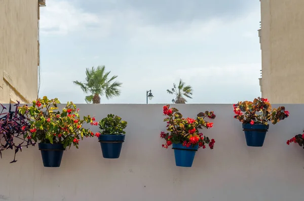 Vasos Flores Que Decoram Casas Típicas Andaluzas Cidade Velha Estepona — Fotografia de Stock