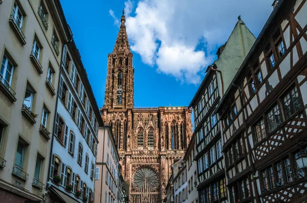Vista Catedral Gótica Estrasburgo Alsacia Francia — Foto de Stock