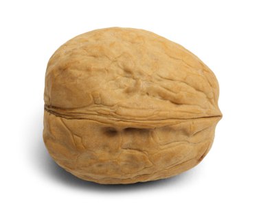 ceviz