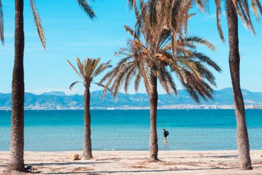 Arenal, Mayorka, İspanya sahillerinde turist ve palmiyeler