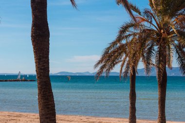 Arenal, Mayorka, İspanya sahillerinde Palmiyeler ve Akdeniz