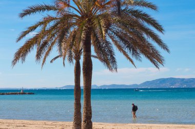 İspanya 'nın Arenal, Mayorka sahilinde palmiyeler, turistler ve Akdeniz