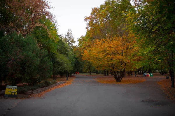 Parque Borisova Gradina Sófia Bulgária Árvores Coloridas Cores Outono — Fotografia de Stock