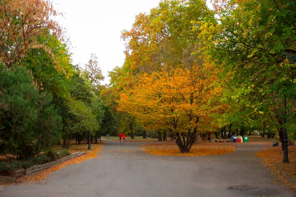 Borisova Gradina Park Sofia Bulgarien Bunte Bäume Und Herbstfarben — Stockfoto