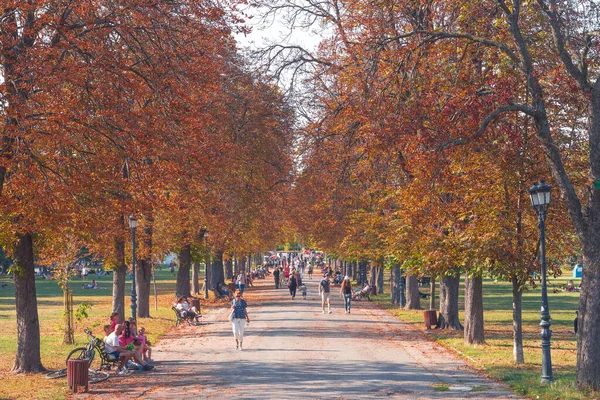 Autumn Colors Path Borisova Gradina Park Sofia Bulgaria — Stock Photo, Image