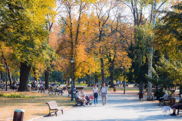 Autumn Colors Path Borisova Gradina Park Sofia Bulgaria — Stock Photo, Image