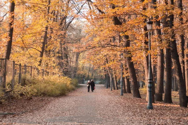 Couple Having Walk Borisova Gradina Park Sofia Bulgaria — Stock Photo, Image