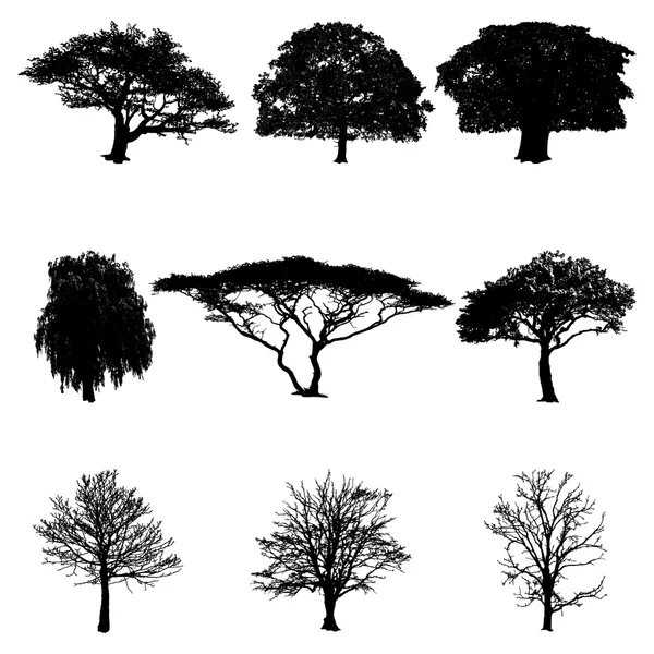 Baum Silhouetten Vektor Illustration — Stockvektor