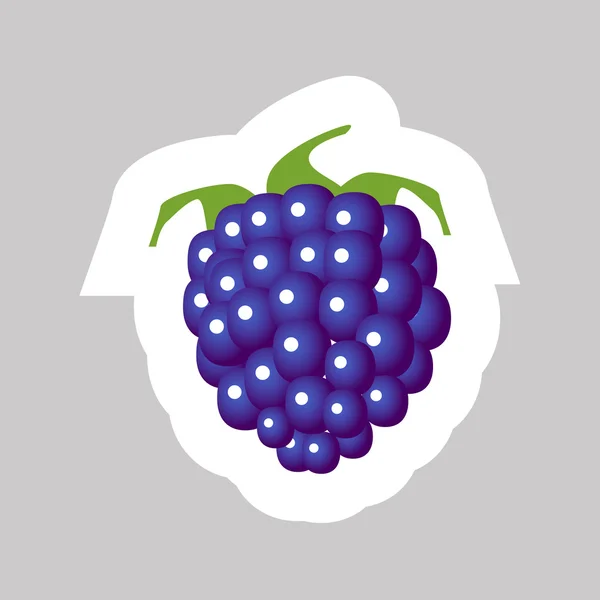 Blackberry — Stok Vektör