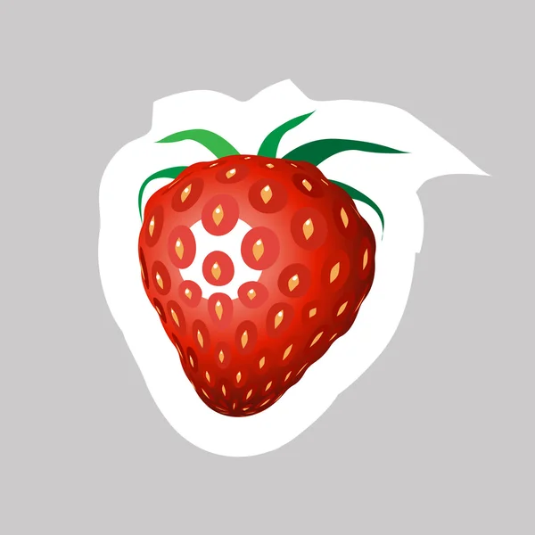 Frutilla — Archivo Imágenes Vectoriales