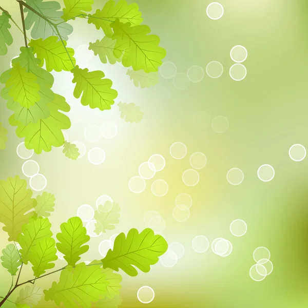 Oak Leaves Background — Stock Vector