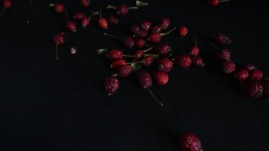 red dry rose hips lie on a black background, camera movement forward