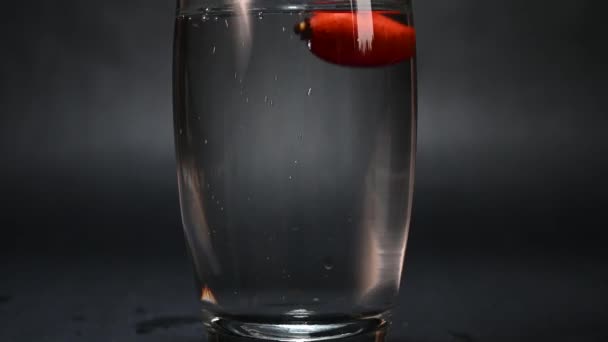 Red Rose Hips Falling Water Transparent Glass Black Background Close — Stock Video