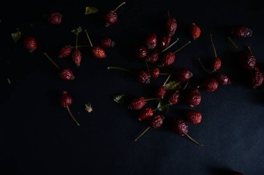 red, dry rose hips lie on a black background