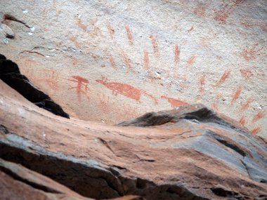 Phatam gözden geçirin