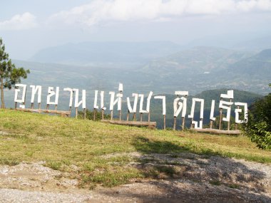 phuruea, görünümü, çiçek, etiket