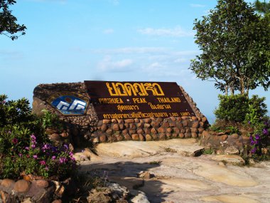 phuruea, görünümü, çiçek, etiket