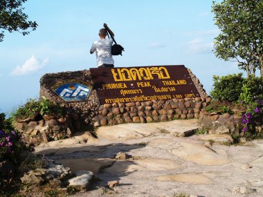 phuruea, görünümü, çiçek, etiket