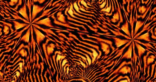 Розмальовка Вірусний тигр . — стокове фото
