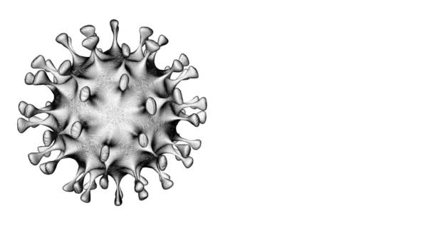 Covid virus on a white background. — Stock Video