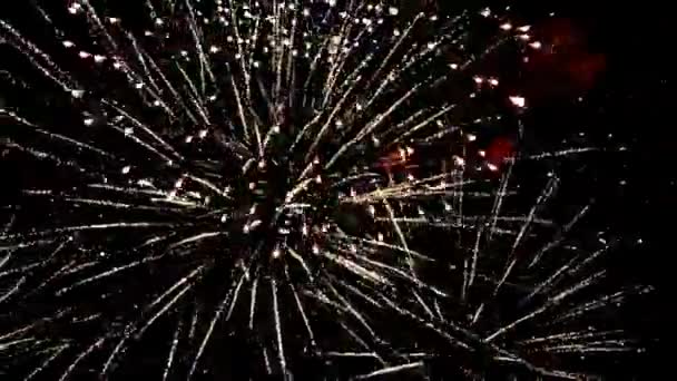 Fogos de artifício são multicoloridos em um fundo preto. — Vídeo de Stock