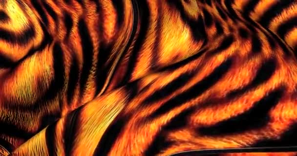 Фон Кожи Тигра Движется Полосатый Тигриный Мех — стоковое видео