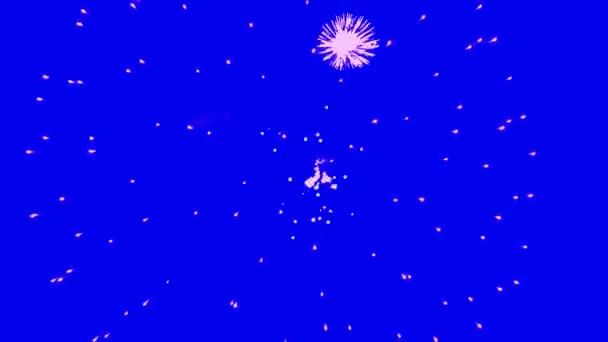 Фейерверки Изолированы Синем Фоне Взрыв Пиротехники Салюта Экране — стоковое видео