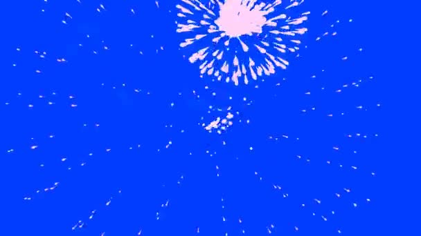 Ohňostroj Izolovaný Modrém Pozadí Salute Pyrotechnicky Explodující Obrazovce — Stock video