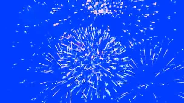Feux Artifice Isolés Sur Fond Bleu Saluer Pyrotechnie Explosant Sur — Video