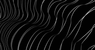 Siyah üzerine dalgalı anabahar çizgileri.