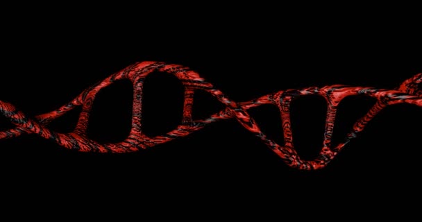 DNA gene is moving on a black screen. — Stockvideo