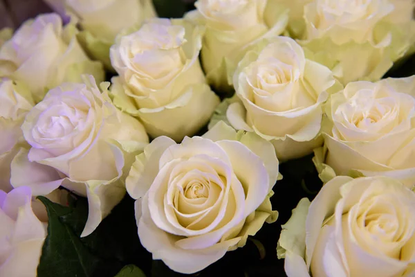 Bouquets Roses Congratulatory — Stock Photo, Image
