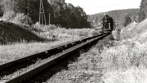 Стоковые Видео Steam Train ⬇ Скачать Футажи Steam Train.