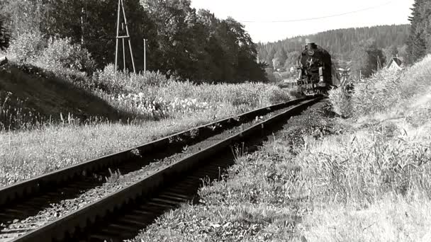 Republic of Karelia, Russia: Retro train on steam locomotive traction black and white video old movie. — стоковое видео