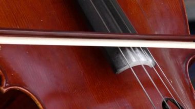 Musician cellist plays the cello violin.