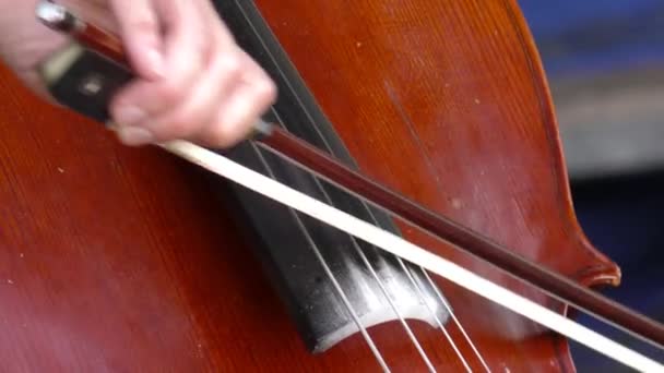 Músico violonchelista toca el violín violonchelo. — Vídeos de Stock